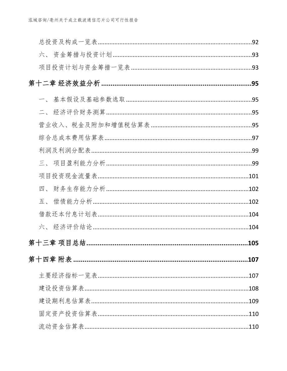 亳州关于成立载波通信芯片公司可行性报告_第5页