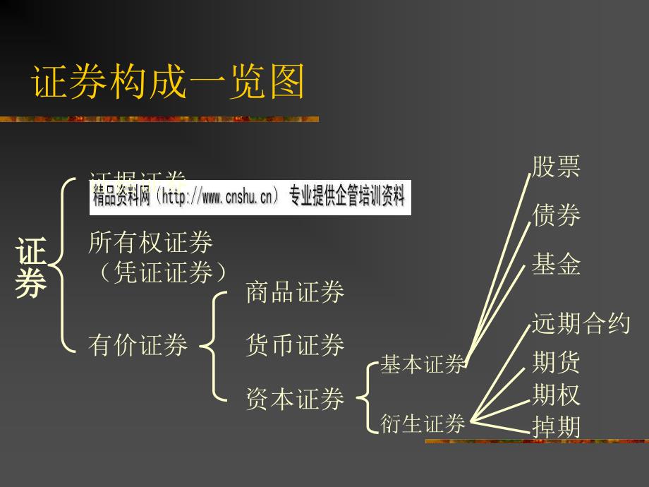 电子证券投资品种综合论述PPT课件_第3页