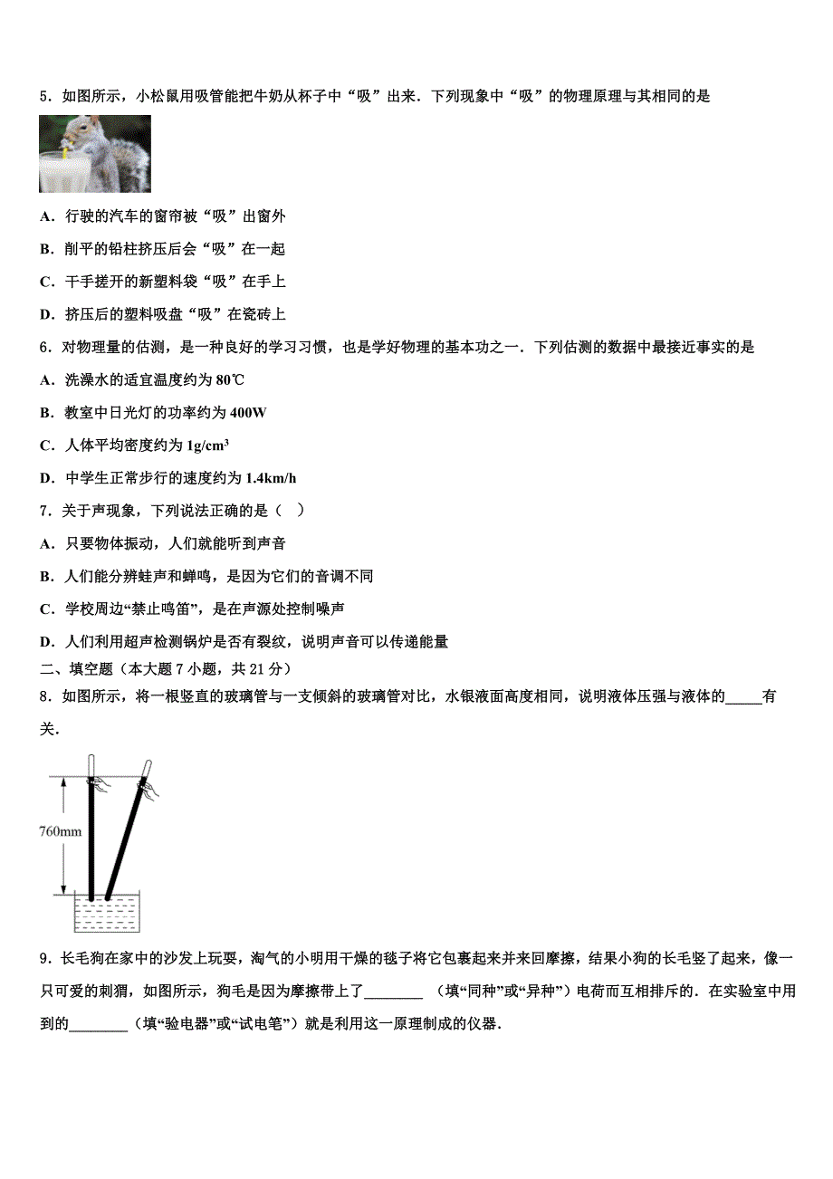 2023年广东省佛山市南海区里水镇达标名校中考物理模拟精编试卷（含答案解析）.doc_第2页