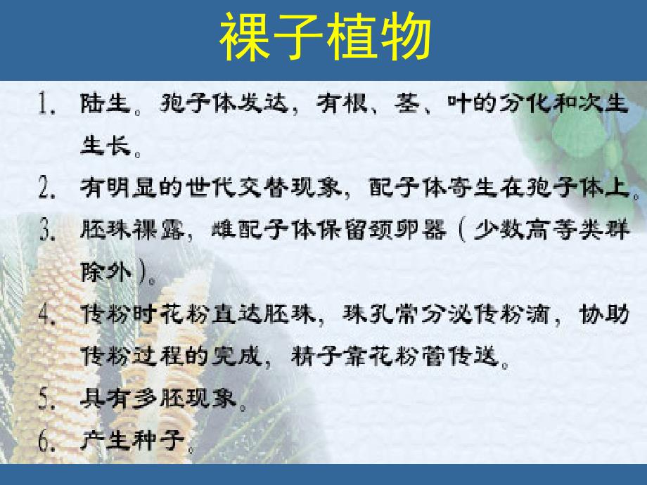植物生物学：裸子植物_第1页