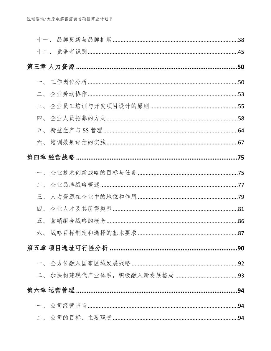 太原电解铜箔销售项目商业计划书_第2页