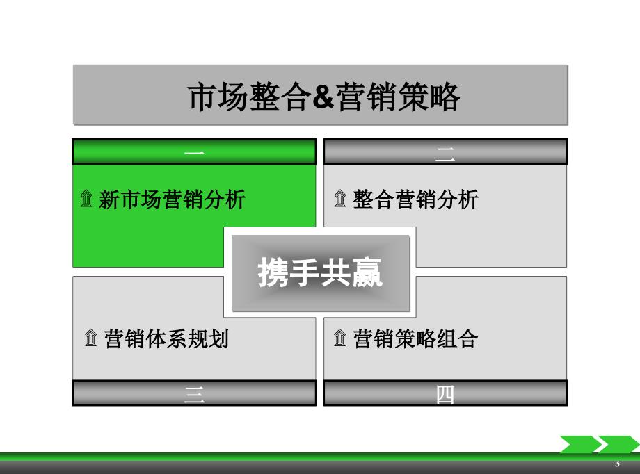 胡氏企业市场整合营销策略框架_第3页