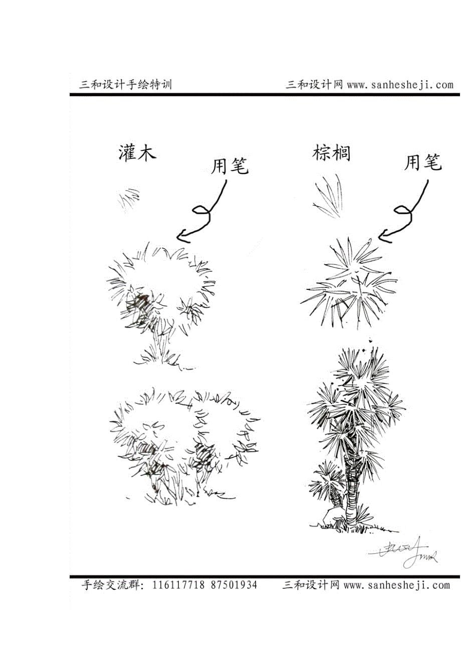 各种植物的手绘用笔方法_第5页