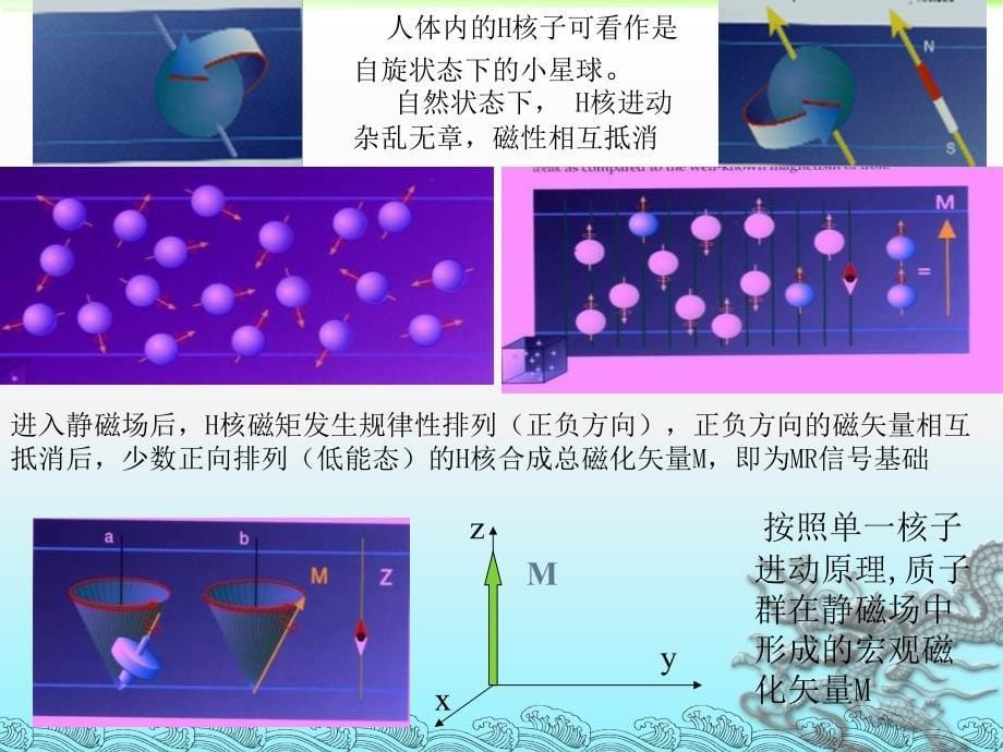 磁共振基础知识课件_第5页