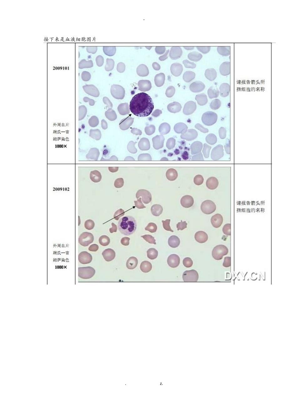 细胞形态学图片_第1页