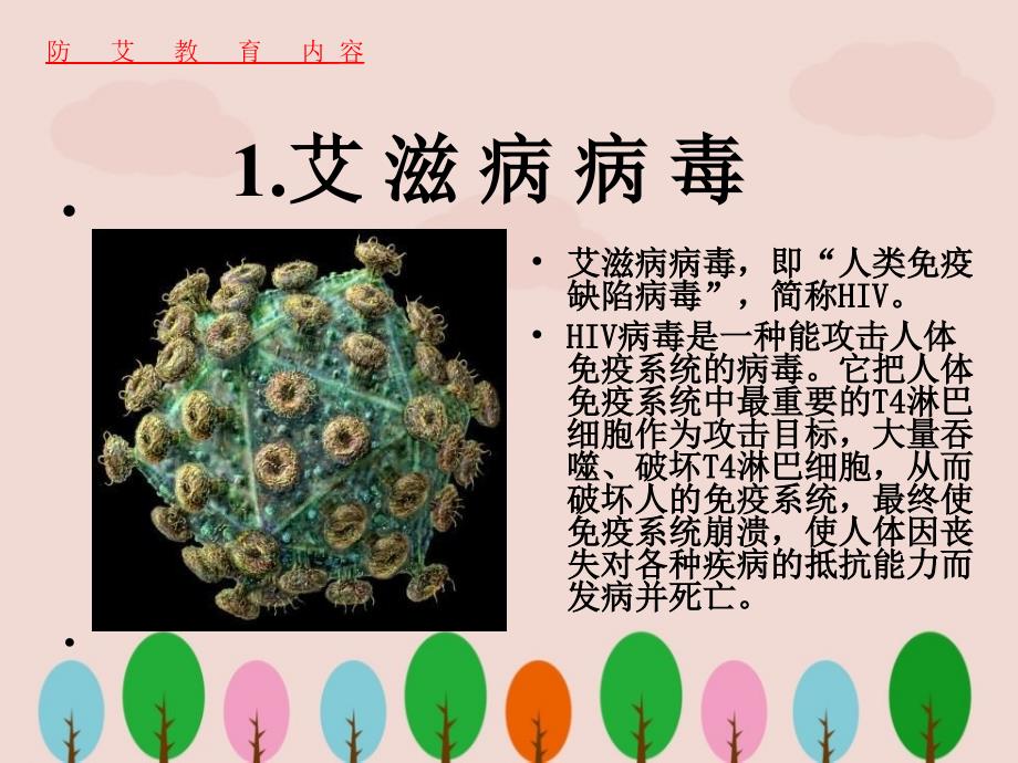 艾滋病基本知识和防治常识.ppt_第3页