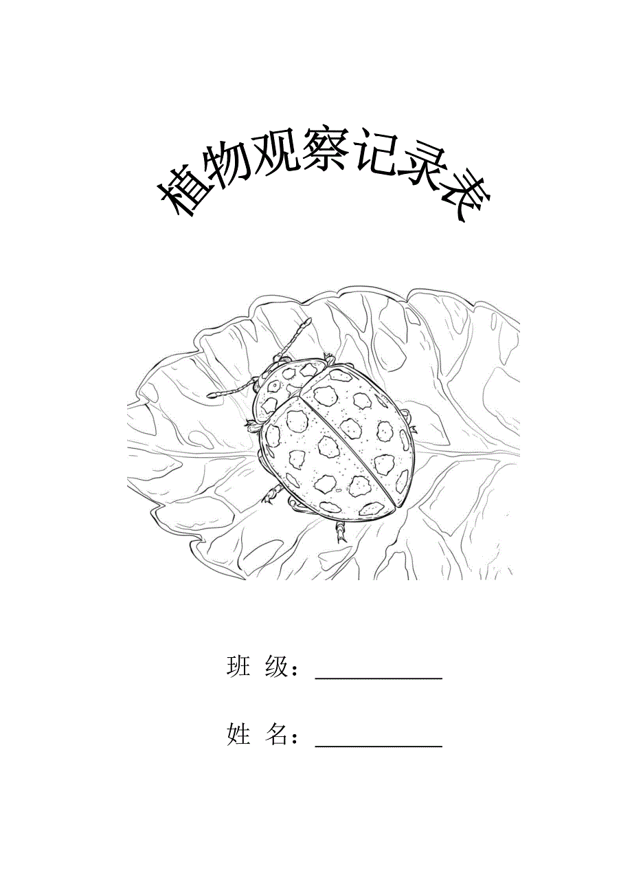 植物观察记录表.doc_第1页