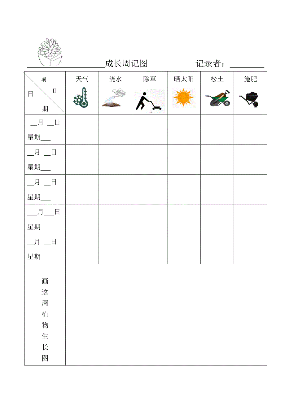 植物观察记录表.doc_第2页