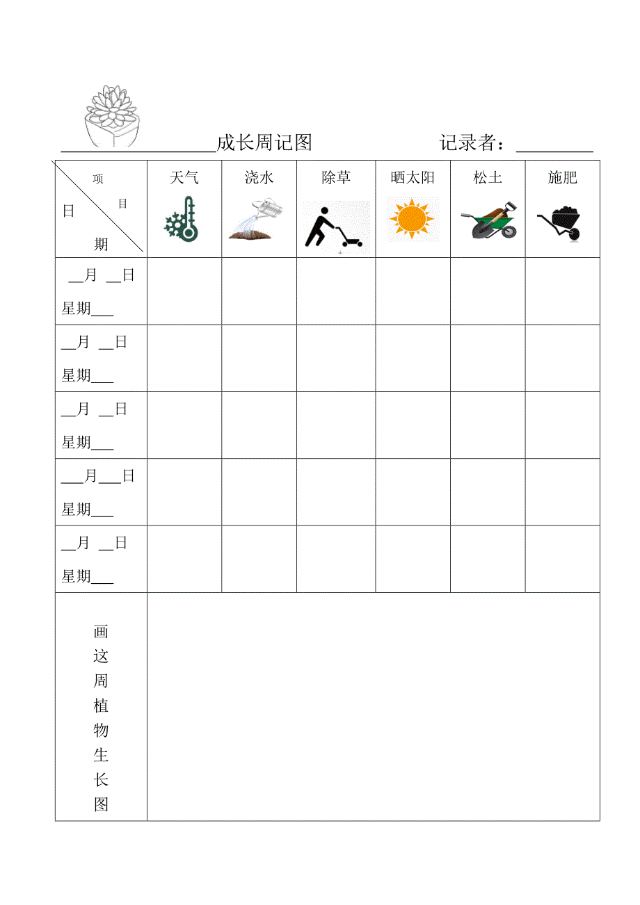 植物观察记录表.doc_第3页