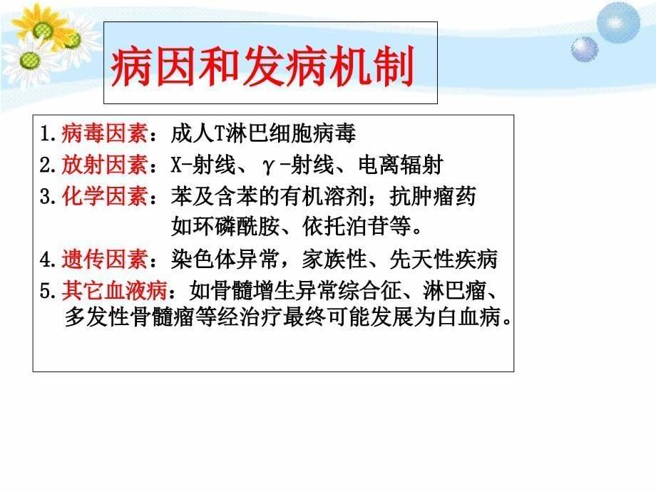 急性白血病护理查房修改文档资料_第5页