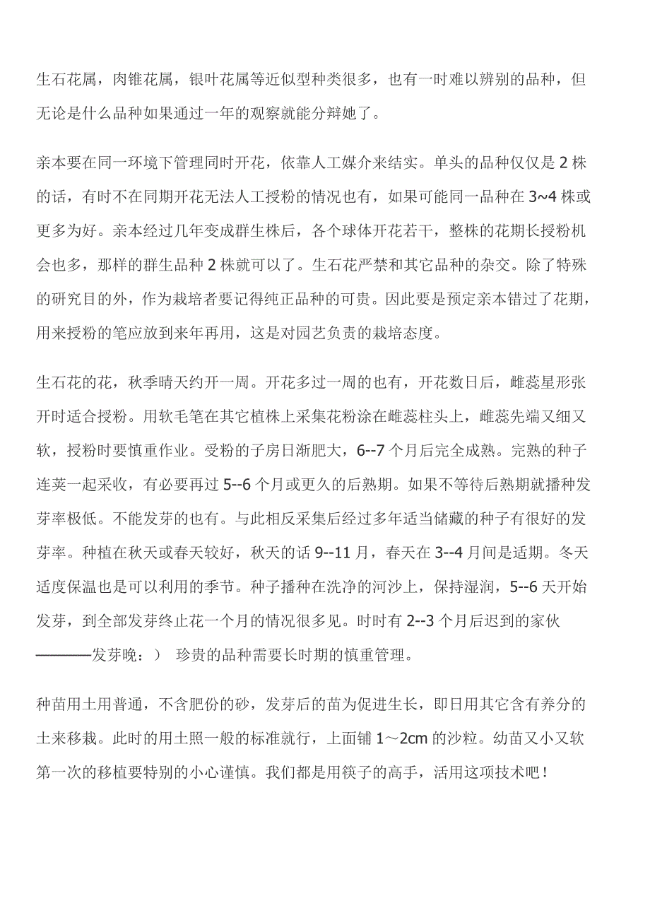 生石花的栽培要点在于要特别注意给水_第4页