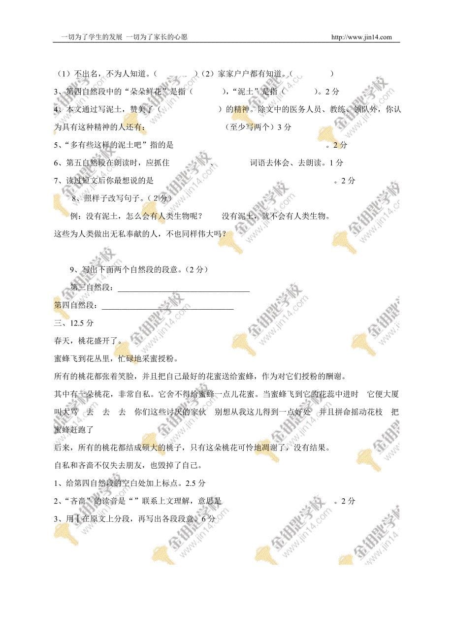 2009年小升初语文试卷(6)_第5页