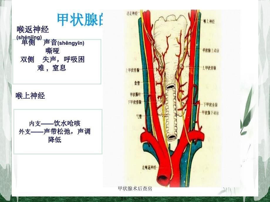 甲状腺术后查房课件_第5页