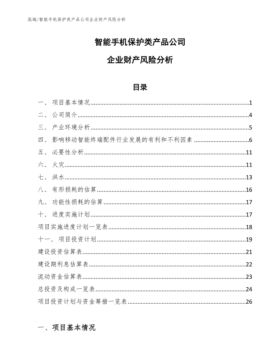 智能手机保护类产品公司企业财产风险分析【范文】_第1页