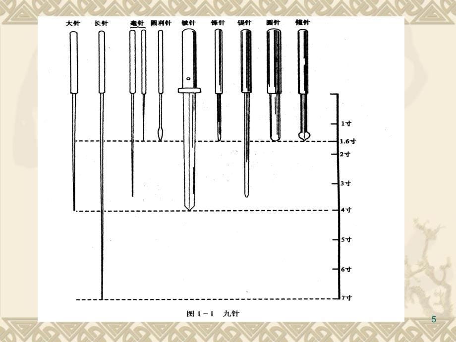 刺法灸法学王燕萍PPT演示文稿_第5页