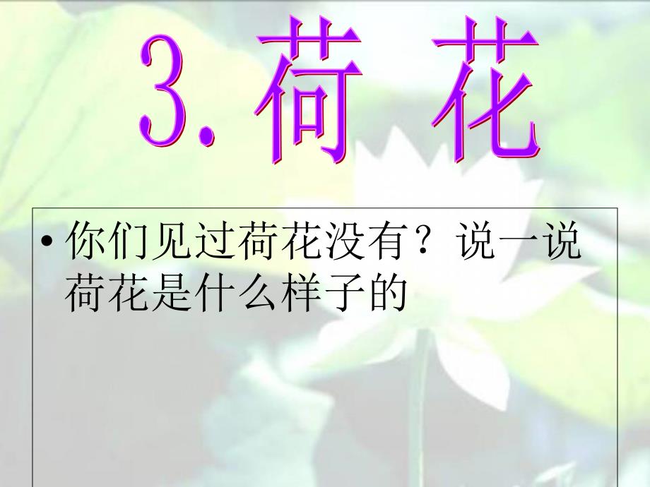 部编人教版三年级下册语文课件一-3荷花_第2页