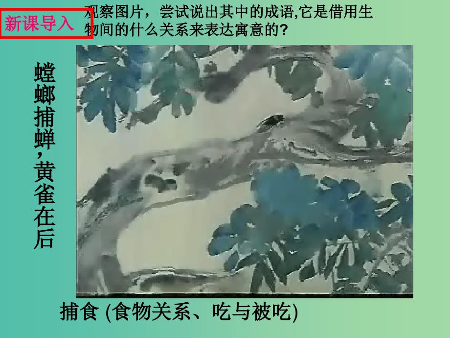 七年级生物上册 6.1 食物链课件 苏科版.ppt_第3页