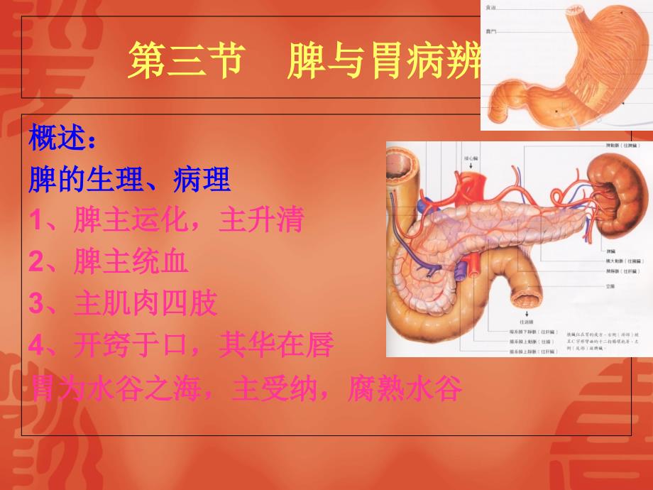 中医诊断学第五章脏腑辨证(三脾与胃)_第1页