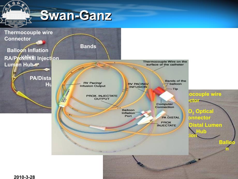 SwanGanz导管应用技巧与临床解读课件幻灯ppt_第3页