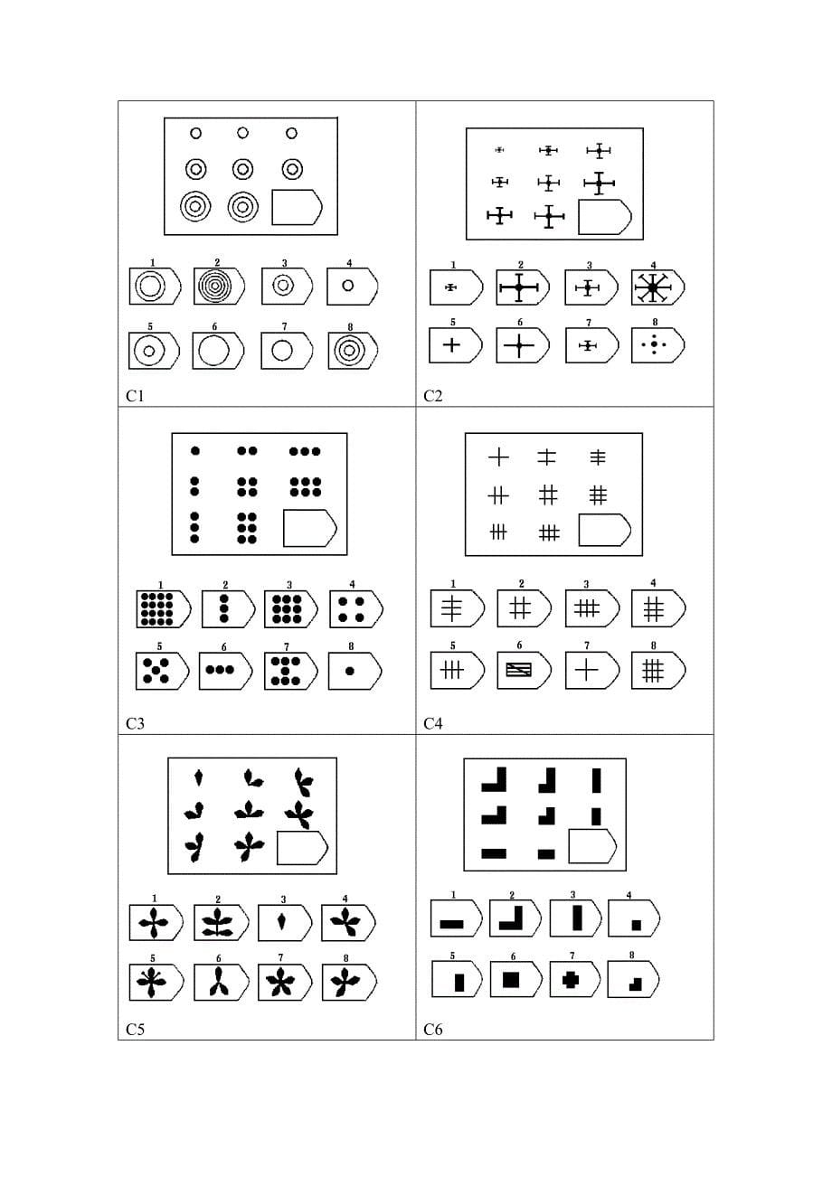 瑞文智力测验及答案经典版_第5页