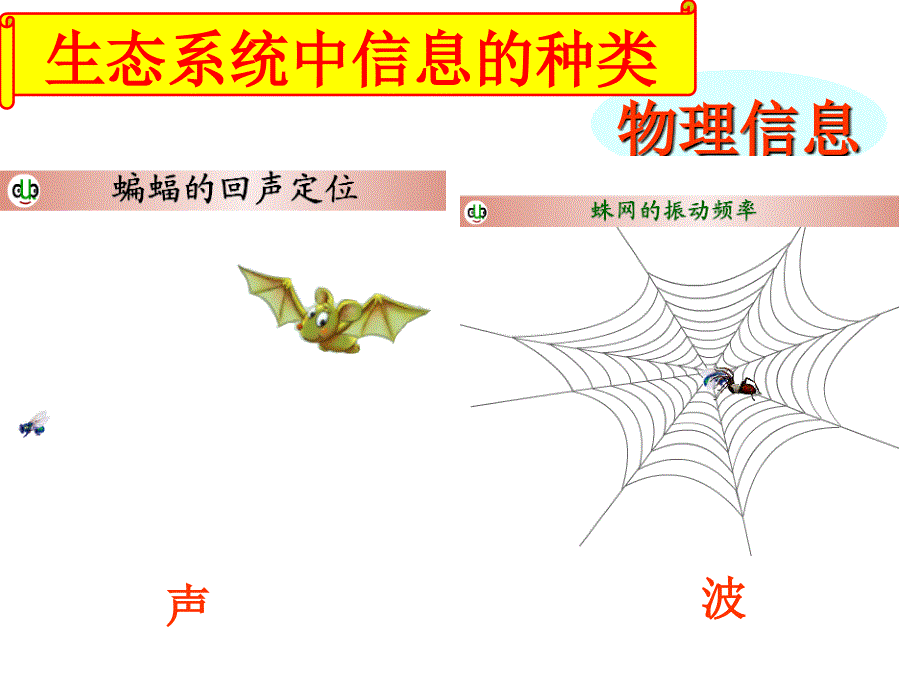 生态系统的信息传递公开课_第2页