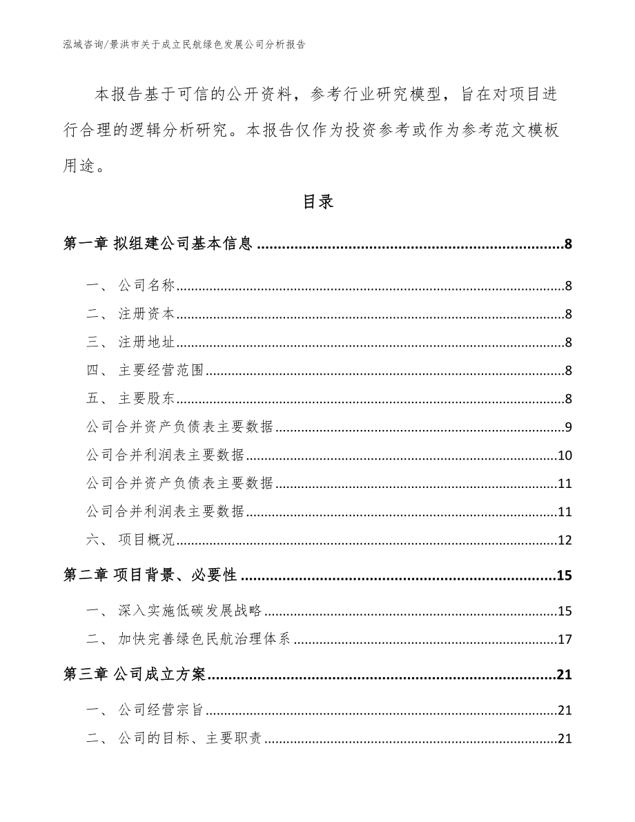 景洪市关于成立民航绿色发展公司分析报告（模板范文）_第3页