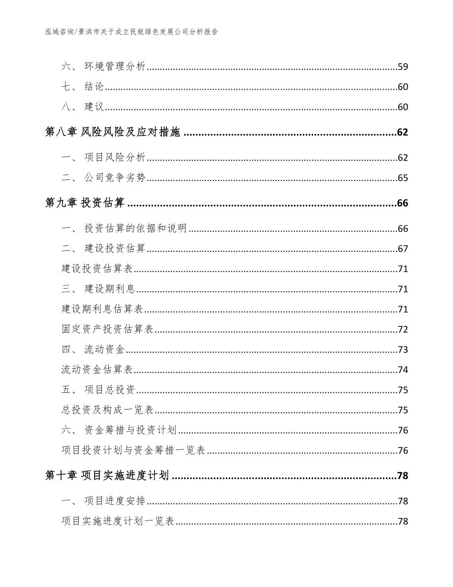 景洪市关于成立民航绿色发展公司分析报告（模板范文）_第5页