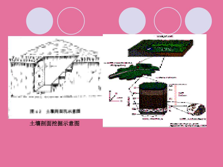 4第四讲土壤组成与结构矿物质ppt课件_第4页