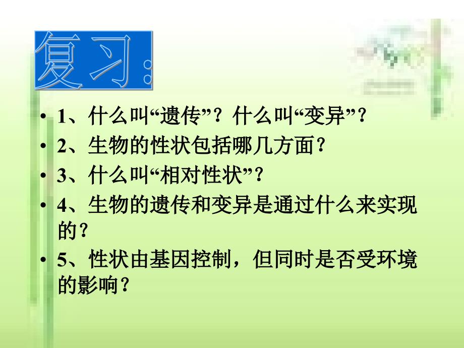 基因在亲子代间的传递.ppt_第2页