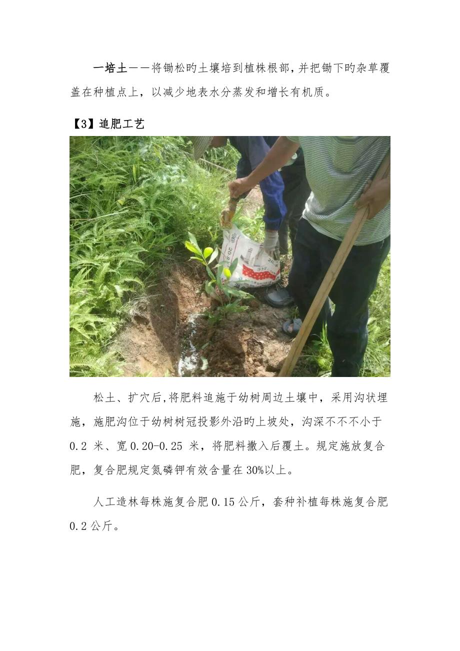 造林关键工程主要综合施工标准工艺_第3页