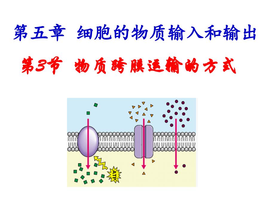 生物必修一物质跨膜运输的方式(优质课)_第1页