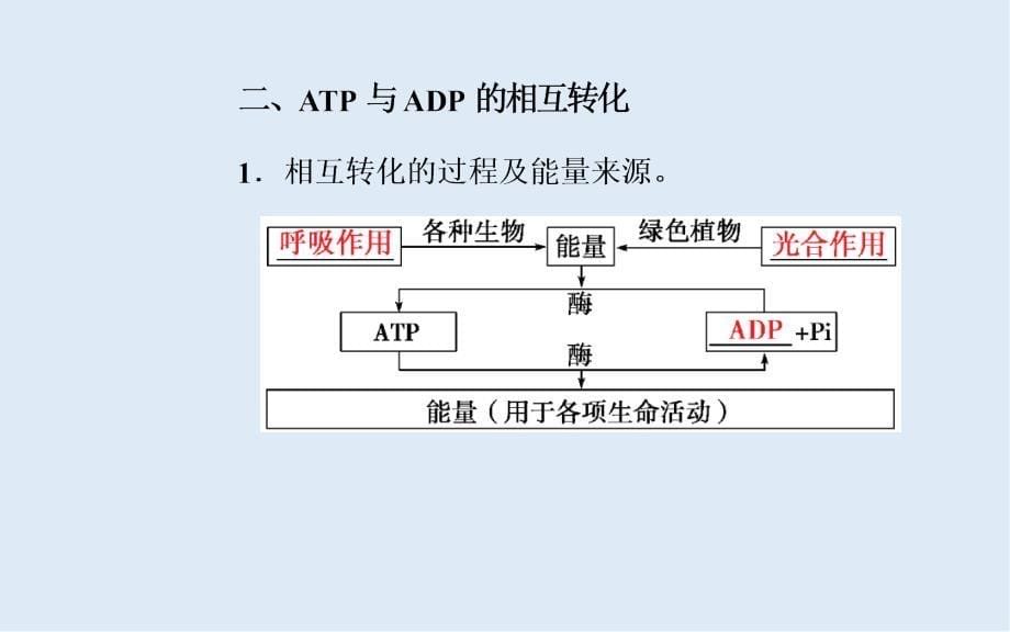 生物必修1人教版课件：第5章第2节细胞的能量“通货”——ATP_第5页