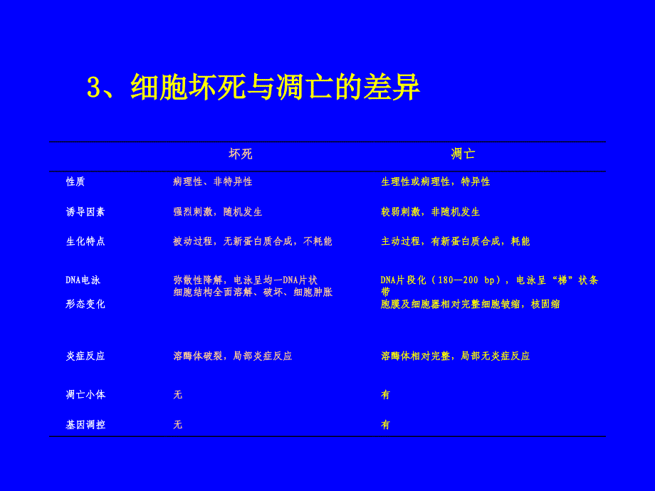 分子肿瘤学细胞凋亡与肿瘤课件_第4页