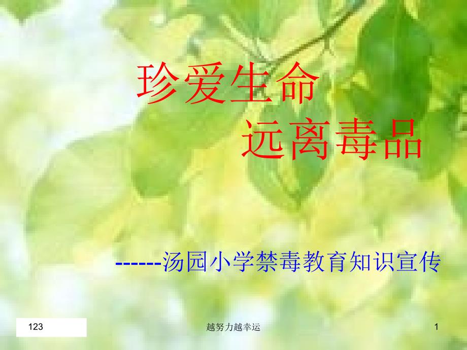 四年级禁毒教育课件_第1页