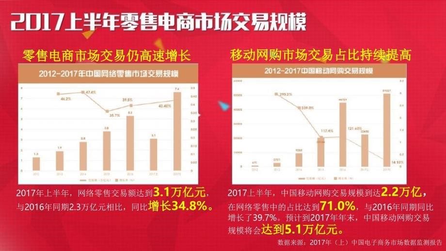 中国电子商务行业研究报告_第5页