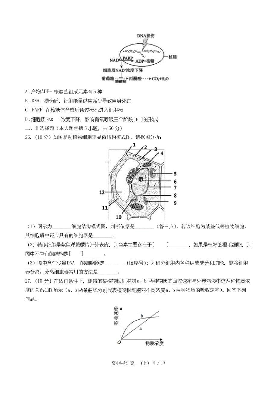 人教版生物必修1期末测试卷3_第5页