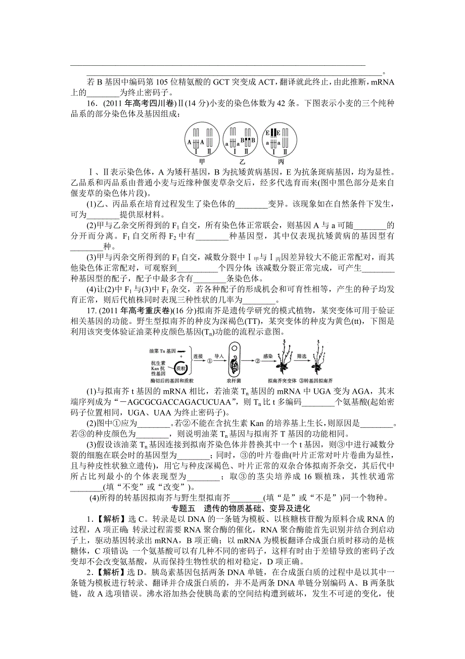 专题五遗传的物质基础、变异及进化.doc_第4页