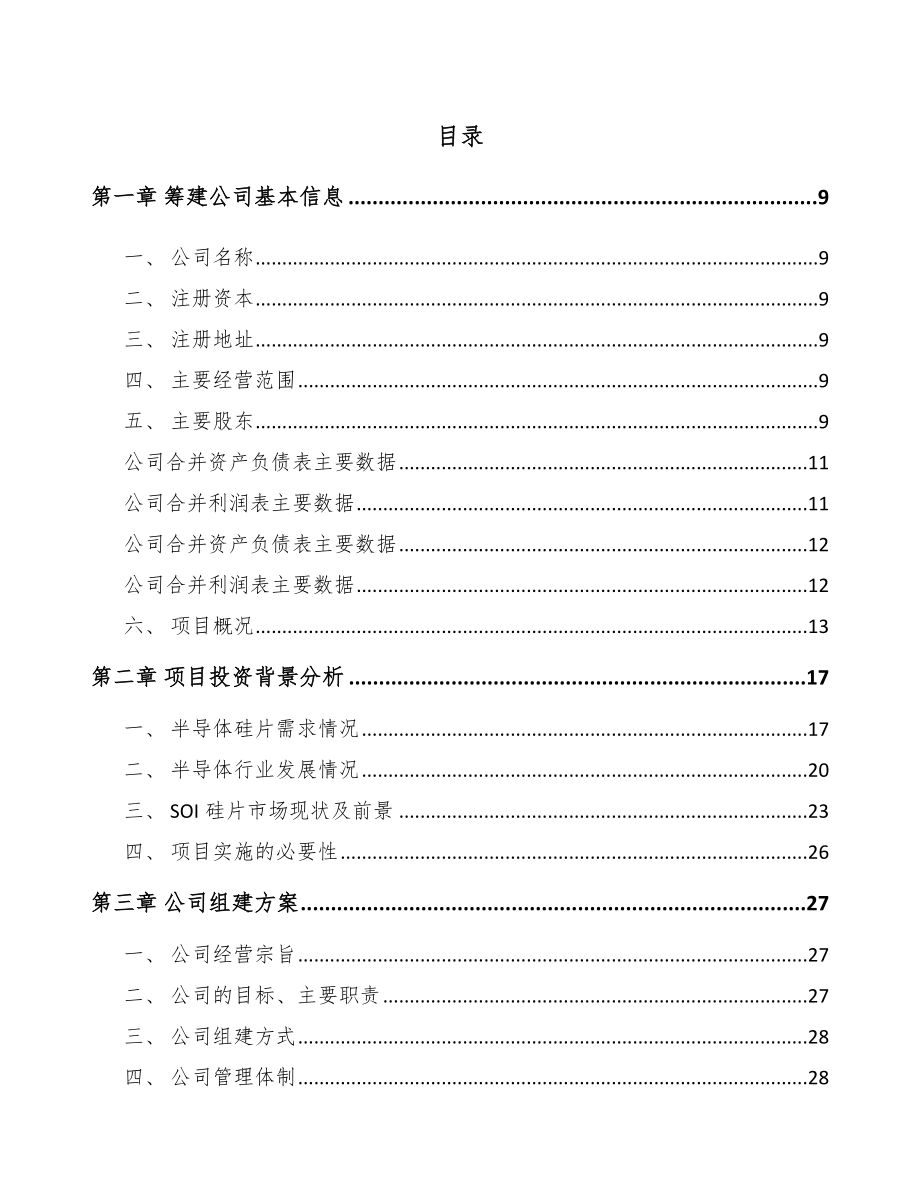 东莞关于成立半导体硅片公司可行性报告_第2页