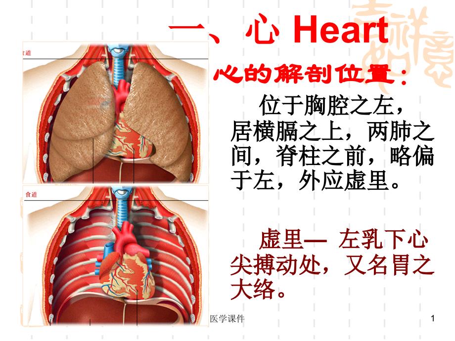 中医基础理论藏象文档资料_第1页