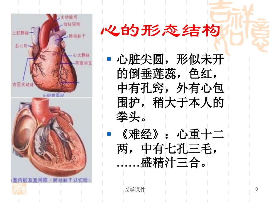 中医基础理论藏象文档资料_第2页