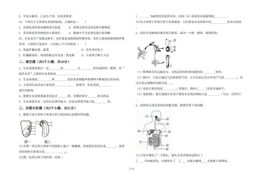 2023年苏教版七年级上册《生物》期末考试卷(汇编).doc_第3页