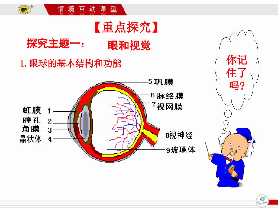 第一节人体对外界的感知_第4页