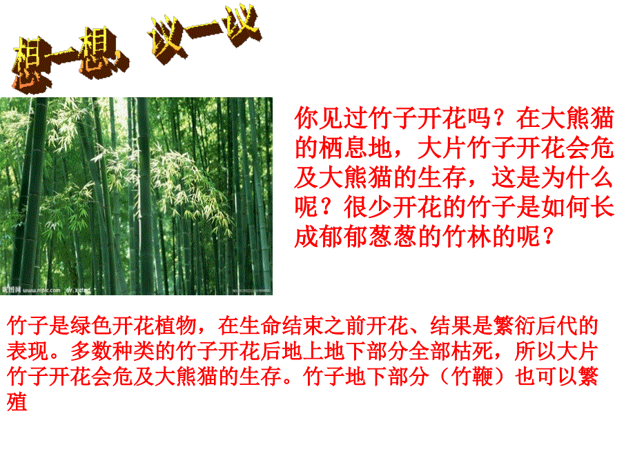 新人教版植物的生殖1课件_第4页