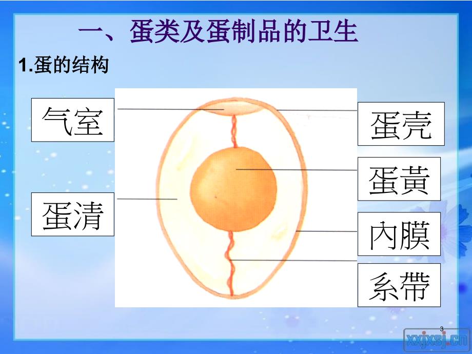 食品营养与卫生26动物性原料的营养价值下_第3页