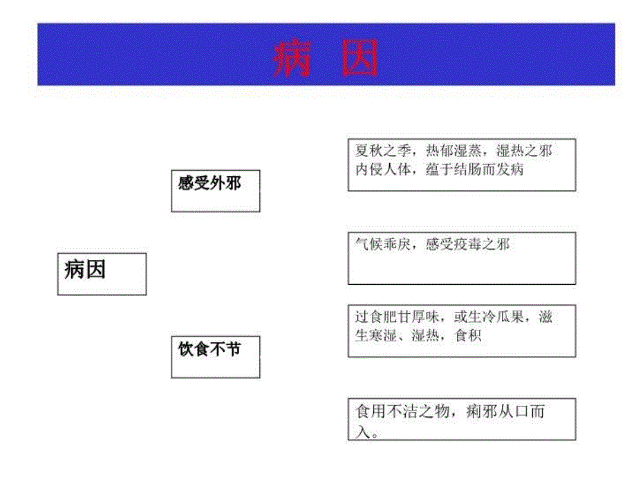 上海中医药大学中医内科学 痢 疾教学资料_第4页