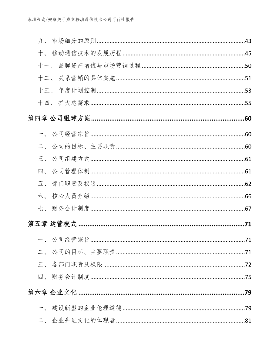 安康关于成立移动通信技术公司可行性报告_范文模板_第3页