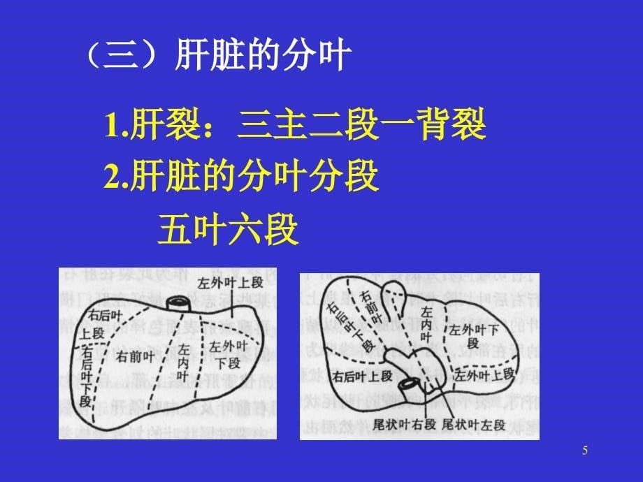 肝癌教学讲稿ppt课件_第5页