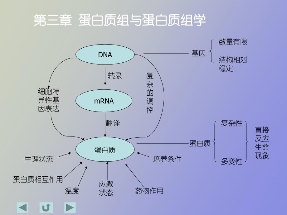 白质组与蛋白质组学_第2页