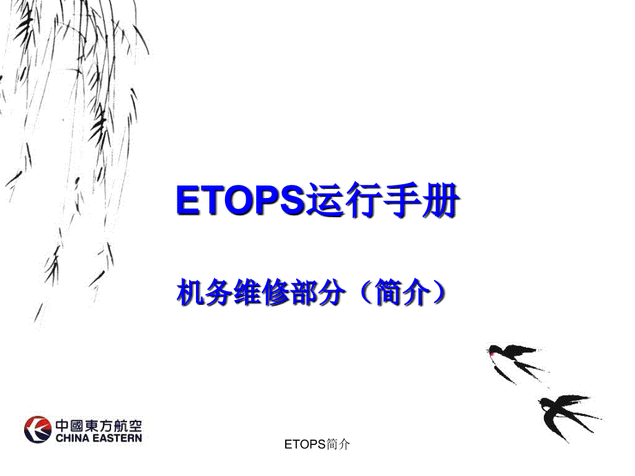 ETOPS简介课件_第1页