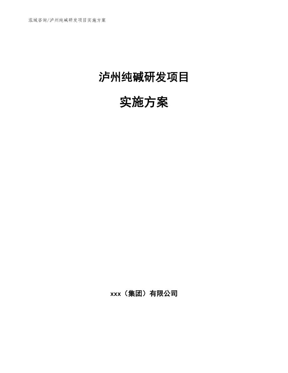 泸州纯碱研发项目实施方案【模板参考】_第1页